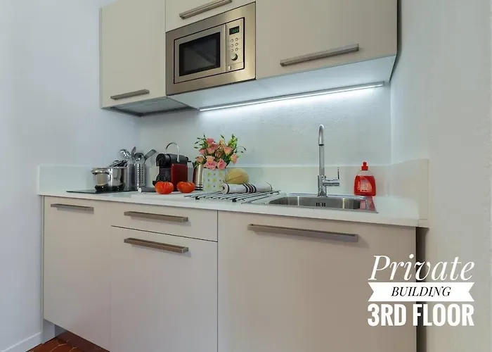 Private Building, 4 Apts, Unique At Nice- Old Town ニース